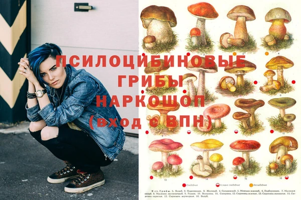 сатива Верхний Тагил