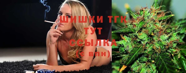 сатива Верхний Тагил