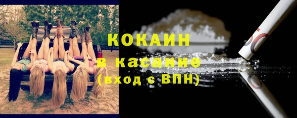 сатива Верхний Тагил